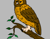 Coloring page Barn owl painted byTiger Tails
