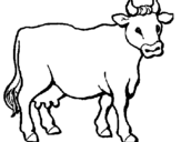 Coloring page Cow painted byyuan