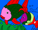 Coloring page Fish painted byggftrtyuukioopokjlkjjnbvs