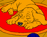 Coloring page Sleeping dog painted bysarah