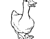 Coloring page Goose painted byyuan