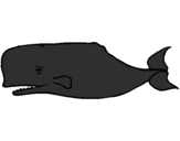 Coloring page Blue whale painted bygenesis