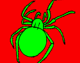 Coloring page Poisonous spider painted byleonardo
