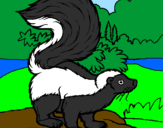 Coloring page Skunk painted by?????