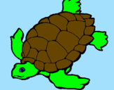 Coloring page Turtle painted byrodolfo