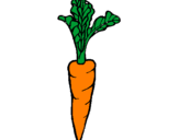 Coloring page carrot painted bySOPHIE