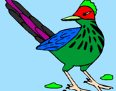 Coloring page Roadrunner painted byariana