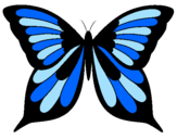 Coloring page Butterfly painted bymaria
