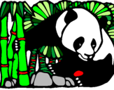 Coloring page Panda and bamboo painted bySonic