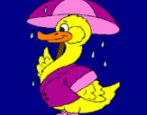 Coloring page Duck in the rain painted bySTEPHANIE