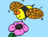 Coloring page Wasp and flower painted byanna rose