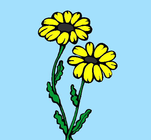 Coloring page Daisies painted byanna rose