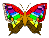 Coloring page Butterfly  painted byCHLOE