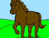 Coloring page Horse painted bycynthia