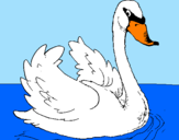 Coloring page Swan in water painted byTiger Tails