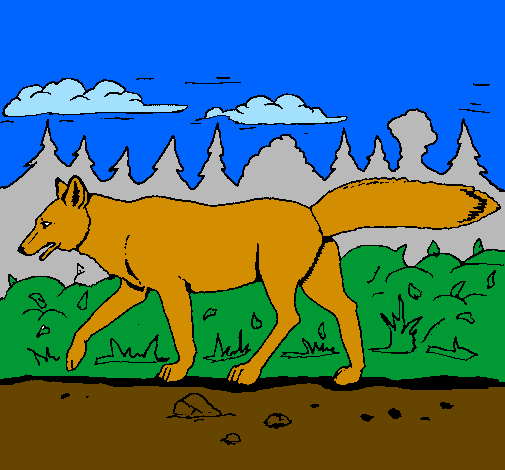 Coloring page Coyote painted byZac and Jonathan