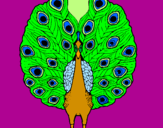 Coloring page Peacock painted byIratxe