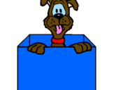 Coloring page Dog in a box painted byjulia