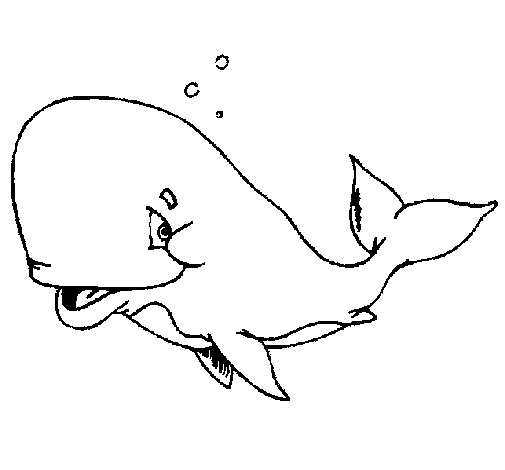 Bashful whale