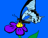 Coloring page Butterfly on flower painted byIratxe