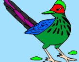 Coloring page Roadrunner painted bykendall