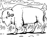 Coloring page Buffalo painted byhi