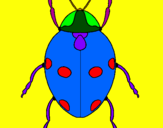Coloring page Ladybird painted byvicenFFFD