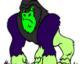Coloring page Gorilla painted by   nvfbhbgvnb