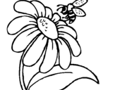 Coloring page Daisy with bee painted byFOFO