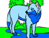 Coloring page Wolf painted bysusie