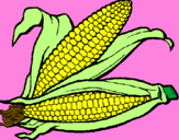 Coloring page Corncob painted byandrea