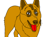 Coloring page Alsatian dog painted byBERTA