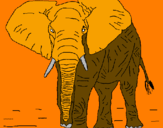 Coloring page Elephant painted byandres