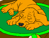 Coloring page Sleeping dog painted byEDWIN