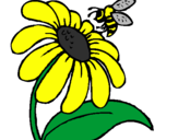 Coloring page Daisy with bee painted byangela