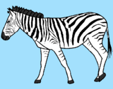 Coloring page Zebra painted byNesia C