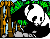 Coloring page Panda and bamboo painted bylove Elizabeth