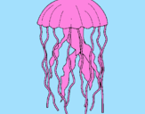Coloring page Jellyfish painted byDANI