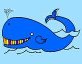 Coloring page Whale painted byKennedy