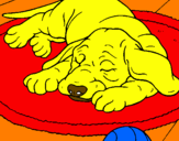 Coloring page Sleeping dog painted bysparky