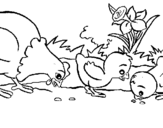 Coloring page Hen and chicks painted byyuan