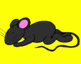 Coloring page Little rat painted bycolby jacquier