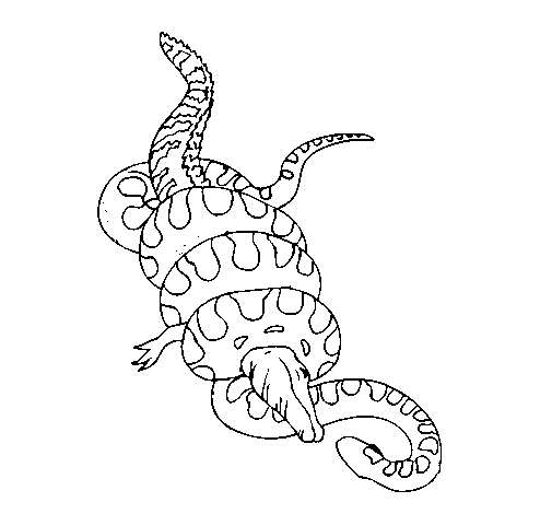 Coloring page Anaconda and caiman painted bycool