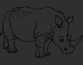 Coloring page Rhinoceros painted bygFFFDbor