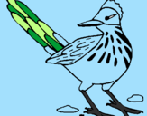 Coloring page Roadrunner painted bycamille20