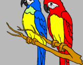Coloring page Parrots painted bypuppy