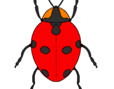 Coloring page Ladybird painted bybrandon cress