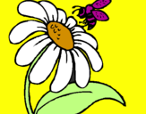 Coloring page Daisy with bee painted bylisa