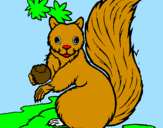 Coloring page Squirrel painted byjonathan