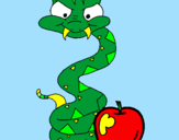 Coloring page Snake and apple painted byAndrea